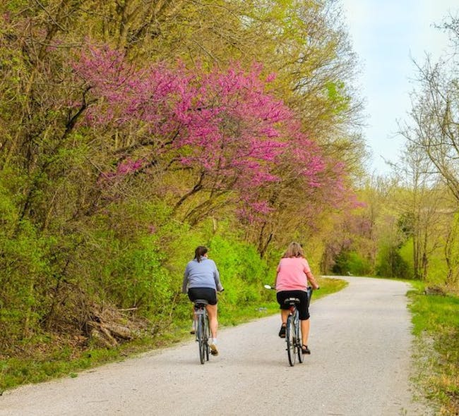 Two people ride bikes along a road in the springtime.